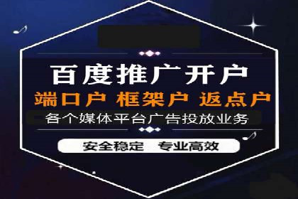 SEM推广在本地化服务中的应用案例
